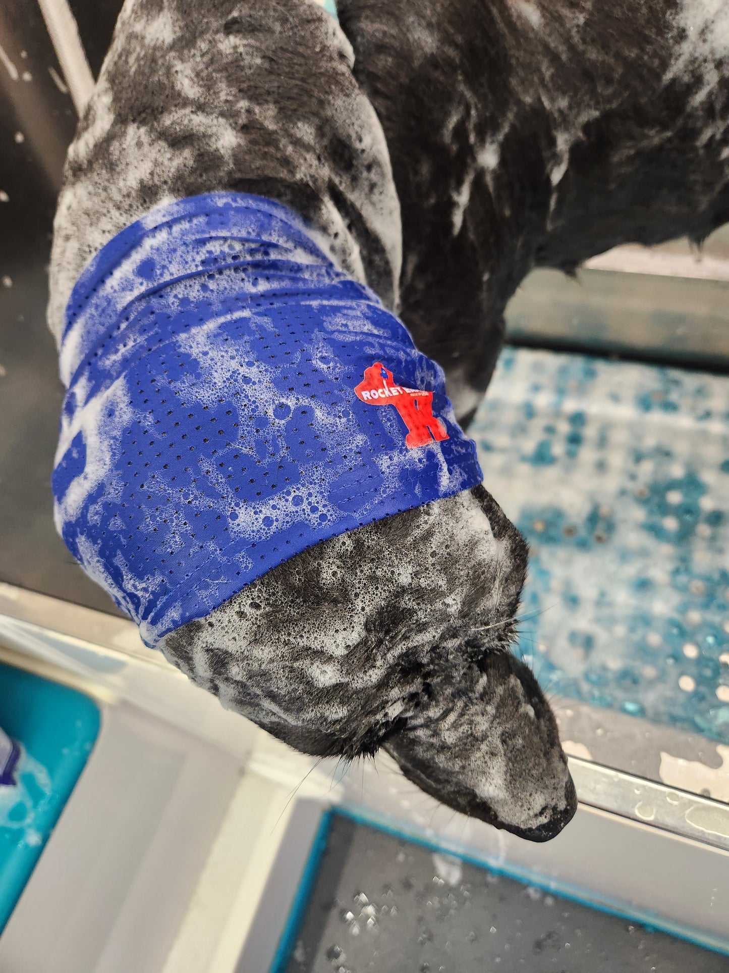 Rocket-Ears Groomers Package