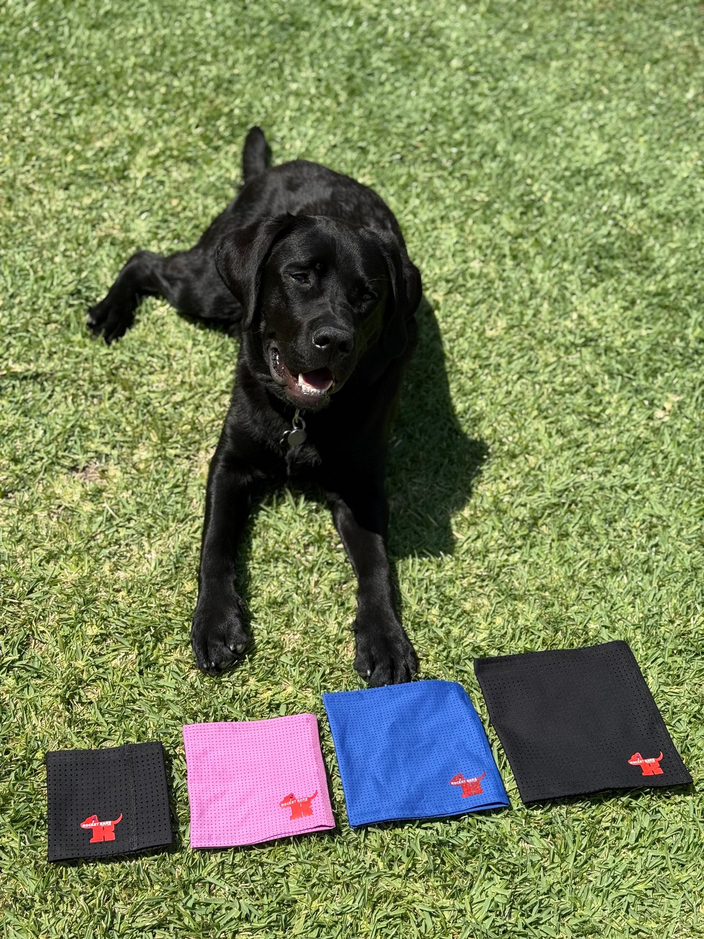 Rocket-Ears Groomers Package