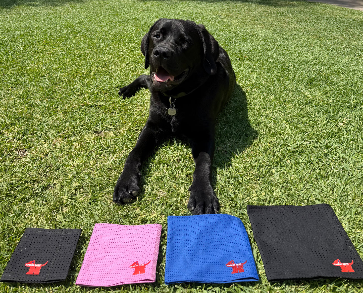 Rocket-Ears Groomers Package